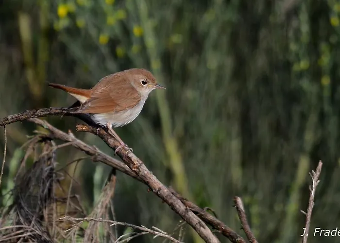 אתר קמפינג Monte Do Azibo Glamping *