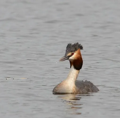 Monte Do Azibo Glamping